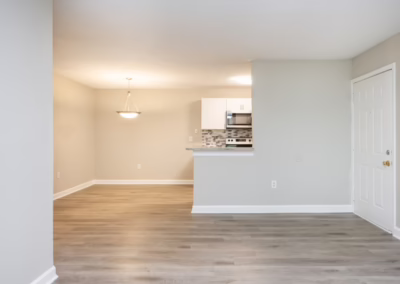 Modern apartments